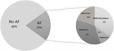 N-Terminal Pro B-Type Natriuretic Peptide's Usefulness for Paroxysmal Atrial Fibrillation Detection Among Populations Carrying Cardiovascular Risk Factors